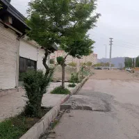 اجاره مغازه