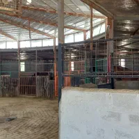 پانسیون اسب|اسب و تجهیزات اسبسواری|شیراز, حومه شیراز|دیوار