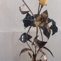 آباژور
