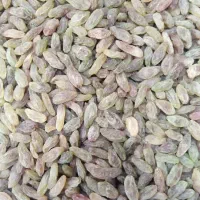 کشمش سلامتی و ارگانیک