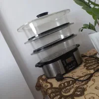 بخار پز