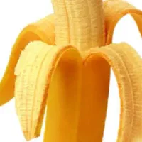 موزتازه موجوده