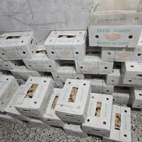 زنجبیل تازه|خوردنی و آشامیدنی|شیراز, دروازه اصفهان|دیوار
