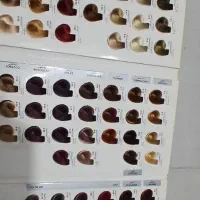 کاتالوگ رنگ موی مارال و موی طبیعی|آرایشی، بهداشتی، درمانی|رشت, دیلمان|دیوار