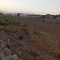 باغچه|اجارهٔ دفتر صنعتی، کشاورزی، تجاری|قلعه نو, |دیوار