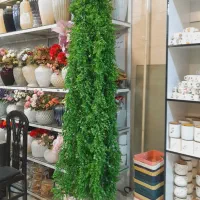 شمشادهای اویزی ۱۷۰ سانتی اک|گل مصنوعی|قم, شهرک فاطمیه|دیوار