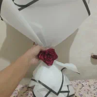 دسته گل|گل مصنوعی|شیراز, میانرود|دیوار