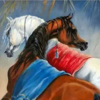اسب سواریدار با شجره
