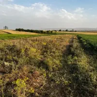 زمین برای کشاورزی احداث باغ،گلخانه