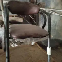 صندلی|صندلی و نیمکت|شوشتر, |دیوار