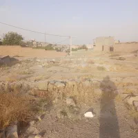 زمین|فروش زمین و ملک کلنگی|گلمکان, |دیوار