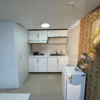 اجاره ی سویت و آپارتمان مبله در مرکز و غرب تهران|اجارهٔ کوتاه‌مدت آپارتمان و سوئیت|تهران, نصرت|دیوار