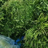 سبزی خورشتی اپز رامهرمز کیلو۹۰