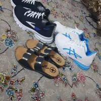 حراج واقعی      هر جفت  ۱۴۵هزار