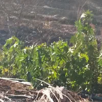 مغنی چاه فاضلاب و آشامیدنی در نوراباد