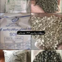 بذر چغندروکودکشاورزی|خدمات باغبانی و درختکاری|نهاوند, |دیوار