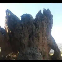 کارشناس و استاد بزرگ باستان