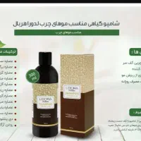شامپو وماسک موی لدورا|آرایشی، بهداشتی، درمانی|کرج, گلشهر|دیوار