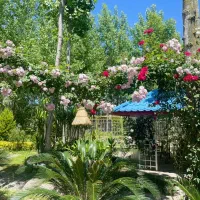 استخدام فست فود کار