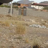 فروش زمین ملکی دهبکری|فروش زمین و ملک کلنگی|دهبکری, |دیوار