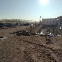 فروش گلخانه و باغ بزرگ|فروش دفتر صنعتی، کشاورزی، تجاری|گرمسار, |دیوار