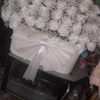 گل ربانی برای خواستگاری