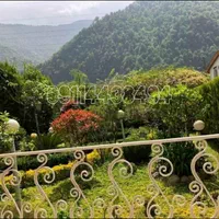 ویلاباغ 500متری سرسبز (دراین مشابه نداره)|فروش خانه و ویلا|چمستان, |دیوار