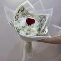 گل طبیعی|گل و گیاه طبیعی|اهواز, پادادشهر|دیوار