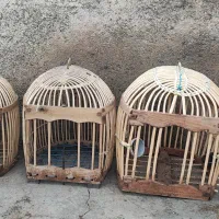 قفس|لوازم جانبی حیوانات|کرمانشاه, |دیوار