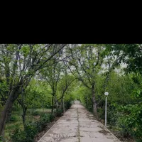 باغچه ۵۷۰متری زعفرانیه
