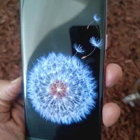 گوشی فروشگاهی  گلکسی+ S9  برای قطعه و تبلیغ