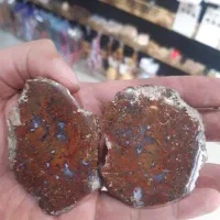 یک جفت شجر پولیش خورده