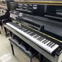 فروشگاه موسیقی سل فا|گیتار، بیس، امپلیفایر|شهرکرد, |دیوار