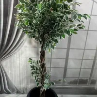 گل مصنوعی بامبو و بنجامین و زیتون با تنه طبیعی