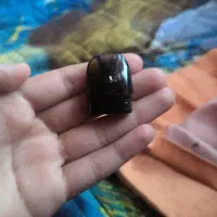 کویل  ارگاس