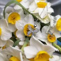 زیورآلات، اکسسوری، بدلیجات