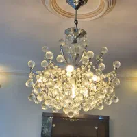 یک عددلوستر۱۲شاخه