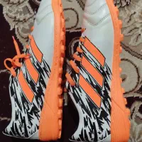 کفش|کیف، کفش، کمربند|بوشهر, |دیوار