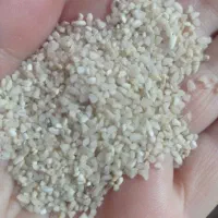 موادغذایی|خوردنی و آشامیدنی|کارون, |دیوار