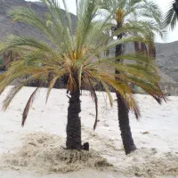 ماشین دربست تور قشم یک روز در اختیار