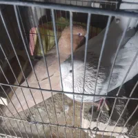 در‌نسیم‌شهر