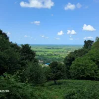 فروش باغ چایی|فروش دفتر صنعتی، کشاورزی، تجاری|لاهیجان, لیل|دیوار