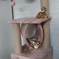 درخت بازی گربه- ۱۱۶×۴۰ (ارتفاع و پهنا)