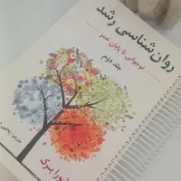 روانشناسی رشد لورابرگ