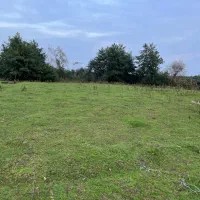 فرصتی مناسب برای سرمایه گذاری در زمین کشاورزی|فروش زمین و ملک کلنگی|لوندویل, |دیوار