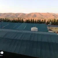 فروش انواع گل‌های آپارتمانی