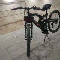 دوچرخه ویوا دندی