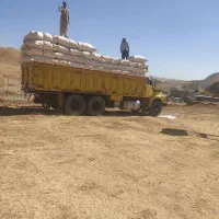 کاه نخود|عمدهفروشی|بوکان, |دیوار