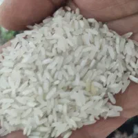 برنج خوشبخت کیلویی 185000تومن|خوردنی و آشامیدنی|تهران, چهارصد دستگاه|دیوار