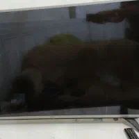 تلوزیون LG